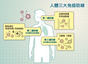 免疫三道防線